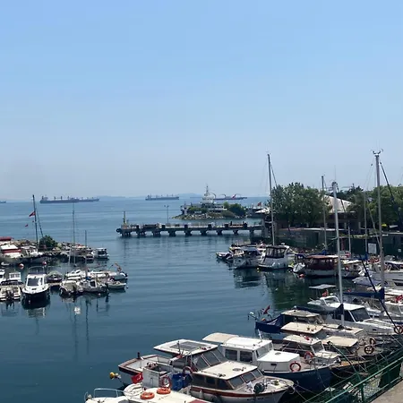 Daire Kartopu 1 İstanbul